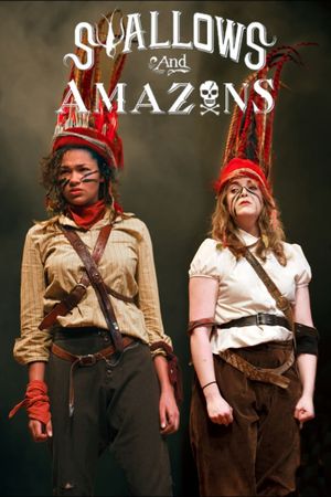 Swallows and Amazons's poster