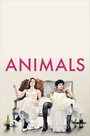 Animals's poster