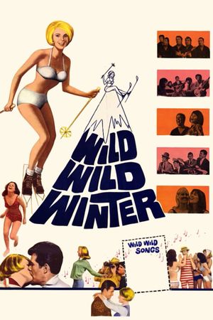 Wild Wild Winter's poster