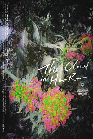 The Cloud in Her Room's poster
