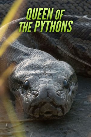 Queen of the Pythons's poster