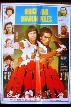 Secret of the Shaolin Poles's poster