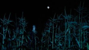 The Town That Dreaded Sundown's poster