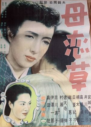 Haha koigusa's poster