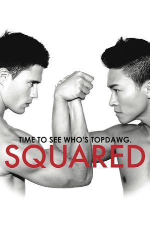 Squared's poster