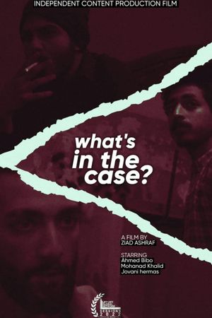 WHAT'S IN THE CASE?'s poster