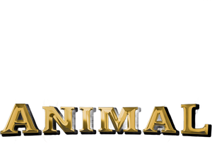 Animal's poster