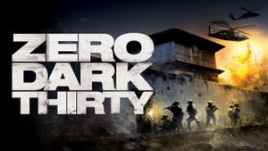 Zero Dark Thirty's poster