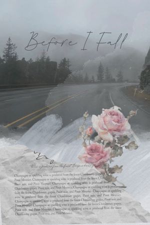 Before I Fall's poster