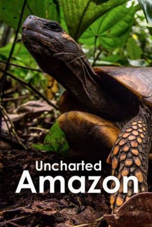 Uncharted Amazon's poster