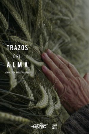 Trazos del alma's poster