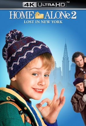 Home Alone 2: Lost in New York's poster