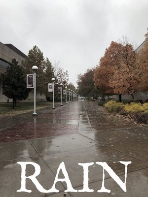 Rain's poster