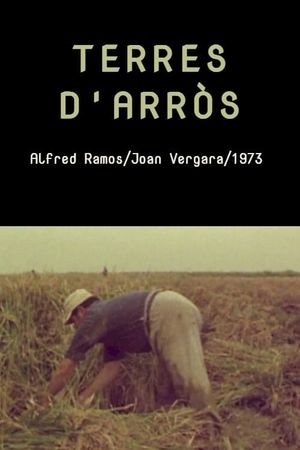 Terres d'arròs's poster