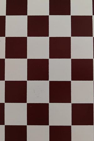 Transición's poster