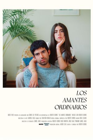 The Ordinary Lovers's poster