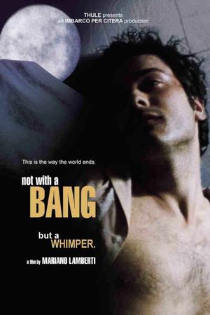 Non con un bang's poster