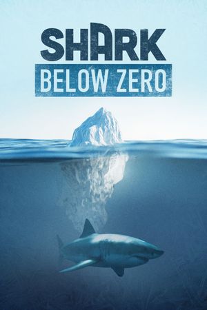 Shark Below Zero's poster