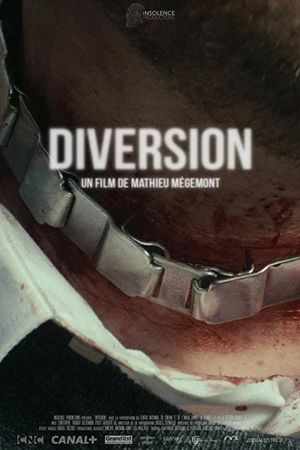 Diversion's poster