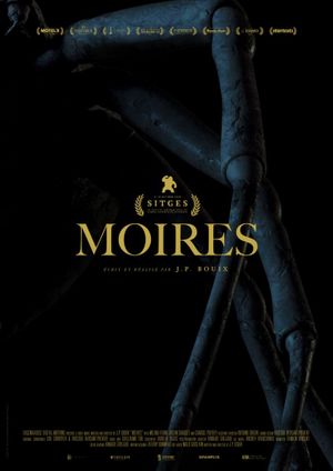 Moires's poster