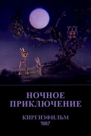 The Nighttime Adventure's poster