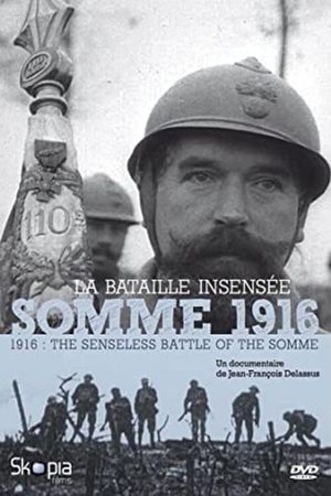 Somme 1916, la bataille insensée's poster