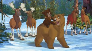 Brother Bear 2's poster