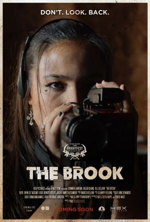 The Brook's poster image