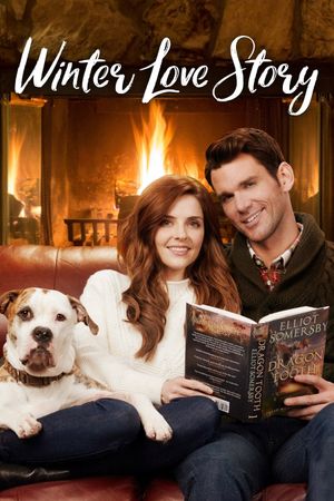 Winter Love Story's poster