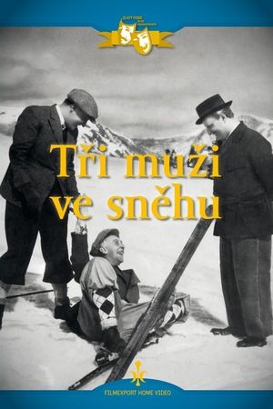 Tri muzi ve snehu's poster
