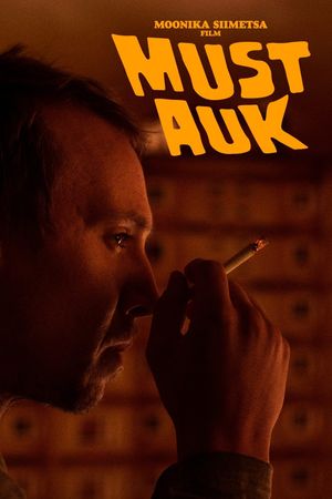 The Black Hole's poster