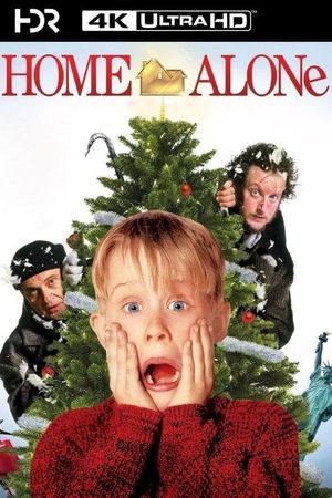 Home Alone's poster