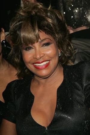 Tina Turner - Simply the Best's poster