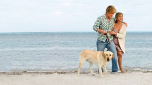 Marley & Me's poster