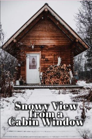 Snowy View from a Cabin Window's poster