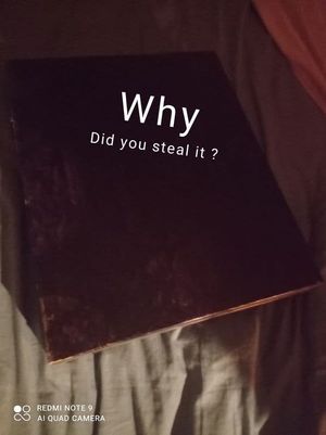 Why did you steal it ?'s poster