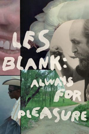 Always for Pleasure's poster