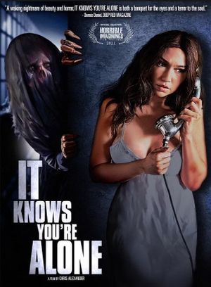 It Knows You're Alone's poster image