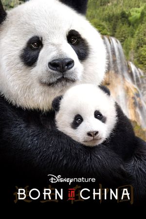 Born in China's poster