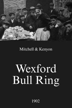 Wexford Bull Ring's poster