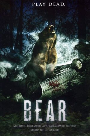 Bear's poster