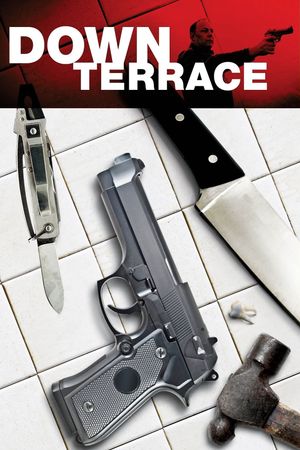 Down Terrace's poster