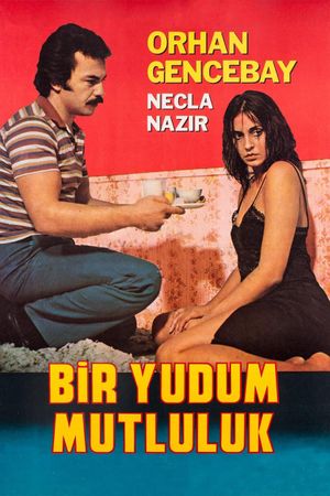 Bir Yudum Mutluluk's poster
