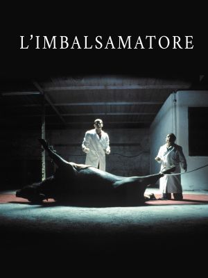 The Embalmer's poster