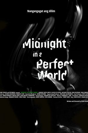Midnight in a Perfect World's poster