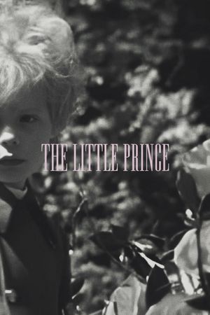 The Little Prince's poster