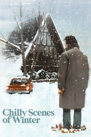 Chilly Scenes of Winter's poster