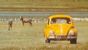 The Love Bug Rally's poster