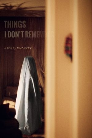 Things I Don't Remember's poster image