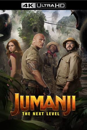 Jumanji: The Next Level's poster